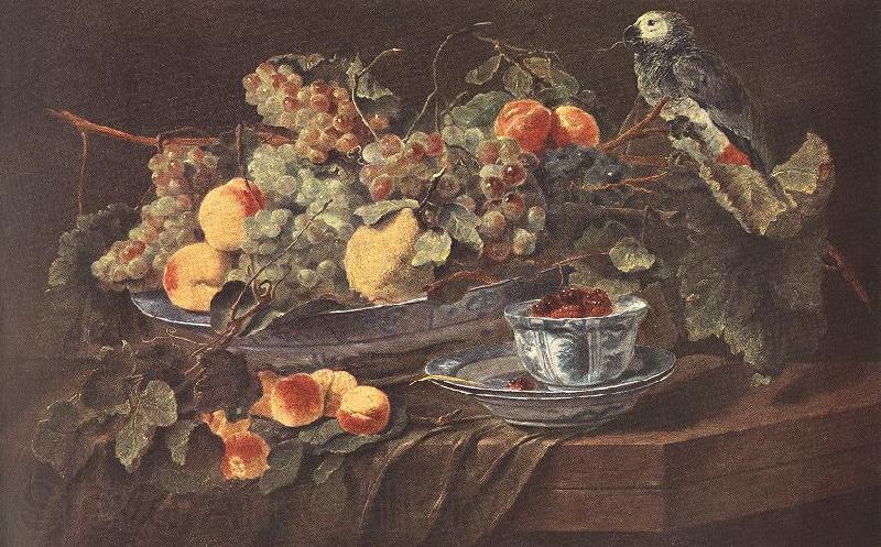 FYT, Jan Still-life with Fruits and Parrot sdg Norge oil painting art